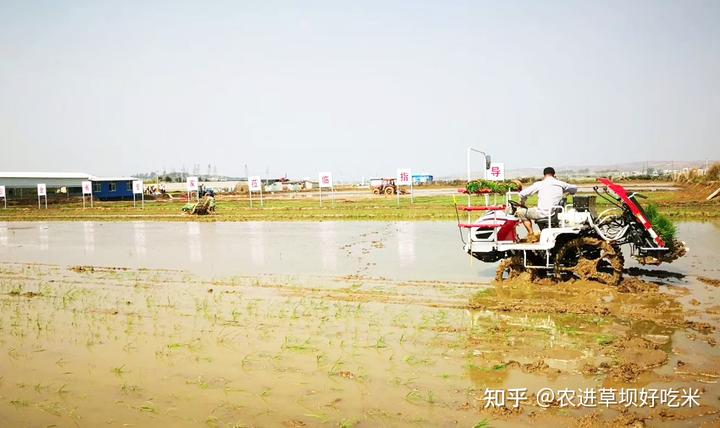 致富经大米_致富经有机大米_大米致富机有什么功能