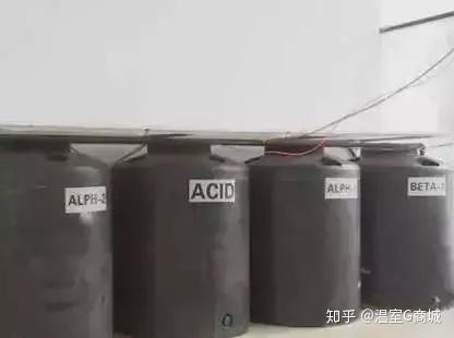 种植姜菜挖土技术方法_种植姜菜挖土技术视频_菜姜种植技术挖土