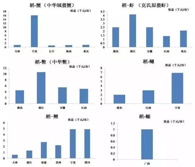 泥鳅养殖户抱团致富_致富经哈尼梯田养泥鳅_养殖泥鳅富豪