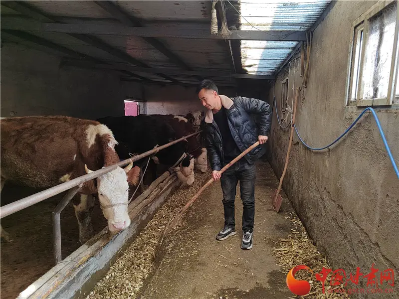 致富养殖好项目_致富养殖什么最赚钱_60万养殖致富
