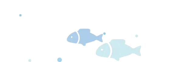 水产养殖技术甲鱼养殖视频_甲鱼养殖场视频_甲鱼养殖视频教程
