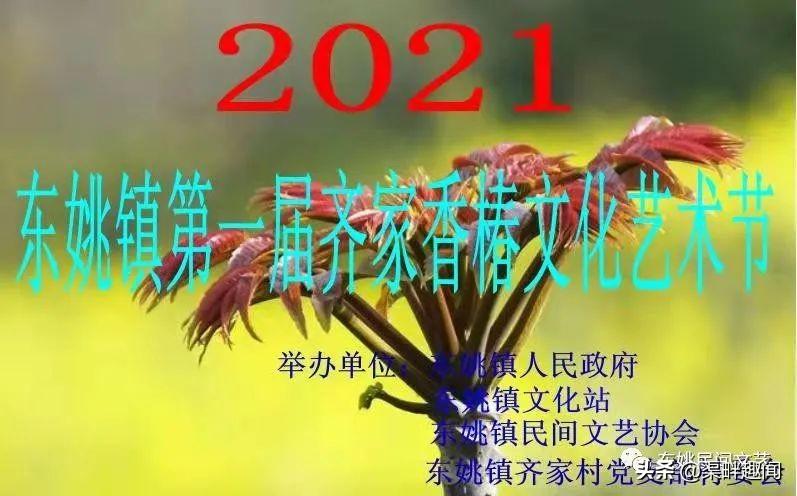 致富经香椿芽_致富经香椿种植_香椿芽价钱