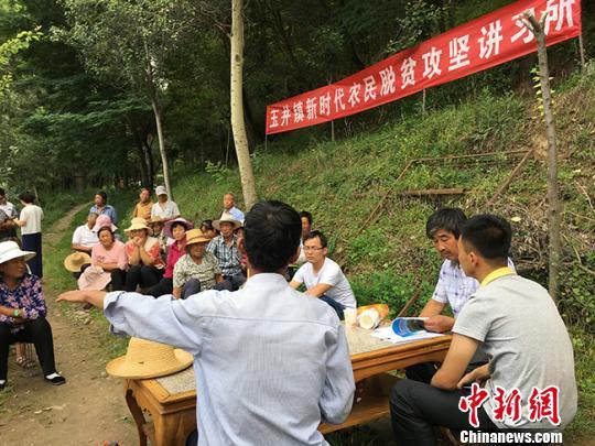 牡丹致富种植条件_牡丹致富经种植_牡丹致富种植方法