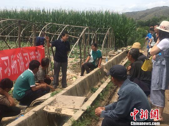 牡丹致富种植方法_牡丹致富经种植_牡丹致富种植条件