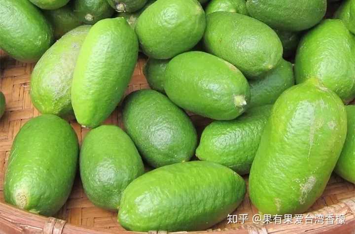 致富经知乎_在茂名搞种植能致富吗知乎_牙齿种植风险知乎