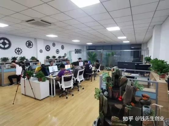 种植臭椿致富方法_臭椿树种子药用功效_臭椿的种子功效与作用