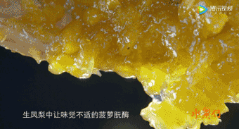 野西瓜种植前景_野西瓜苗是什么样子的_野西瓜种植技术
