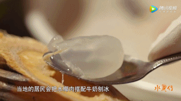 野西瓜种植前景_野西瓜苗是什么样子的_野西瓜种植技术