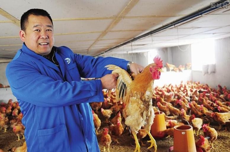 在家养殖什么最赚钱 不愁销路养殖项目有哪些？