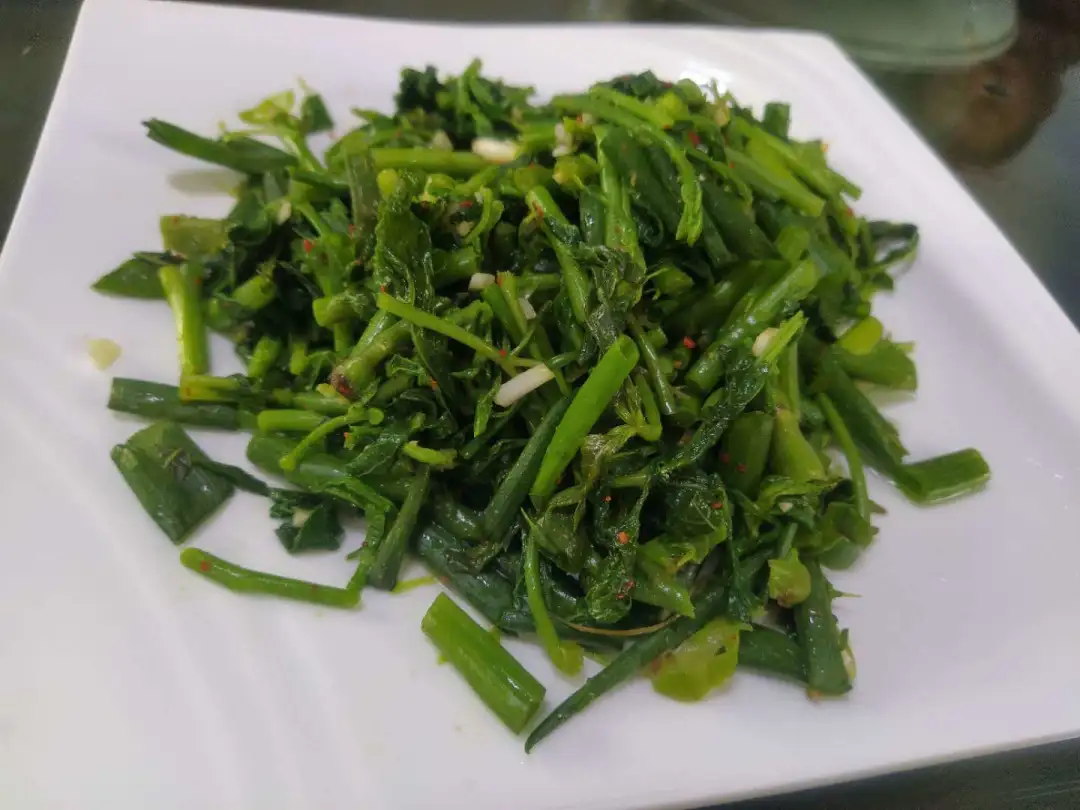 农村种植致富好项目_种植簕菜致富_雷竹笋种植致富案例