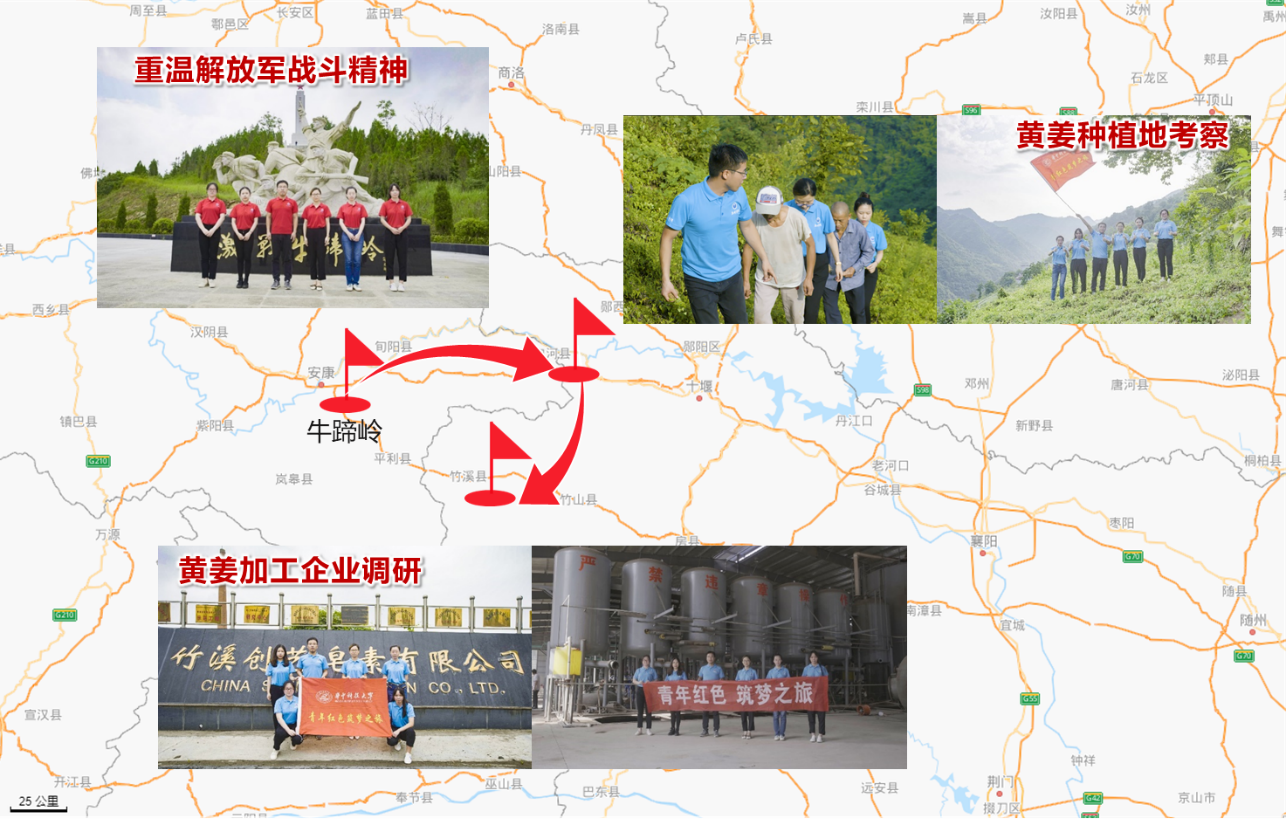 华中科技大学黄姜团队生物法绿色制造皂素技术，让黄姜产业重换生机