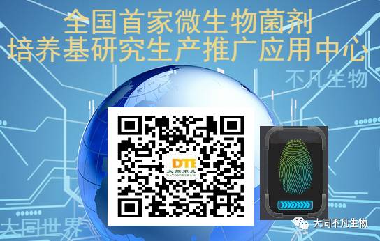 南养白对虾养殖技术_南美白对虾养殖技术难题_南北对虾养殖