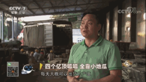 致富饲养鸽子图片_鸽子饲养致富经_致富饲养鸽子小说