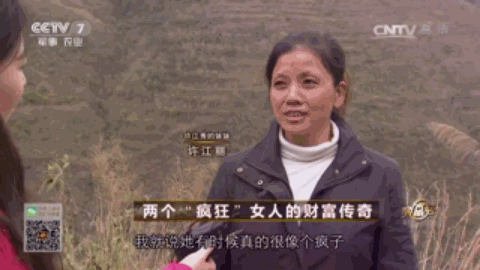 致富饲养鸽子图片_鸽子饲养致富经_致富饲养鸽子小说