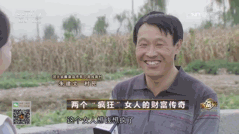 致富饲养鸽子图片_致富饲养鸽子小说_鸽子饲养致富经