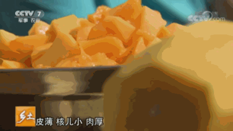 致富饲养鸽子图片_鸽子饲养致富经_致富饲养鸽子小说