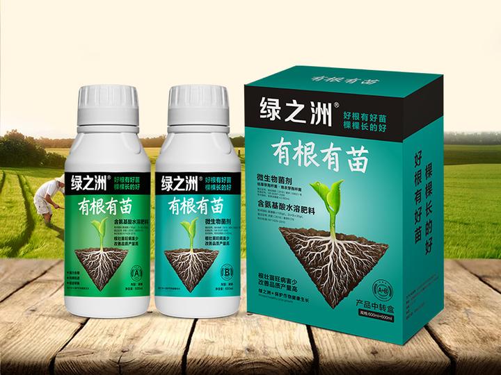 致富经种植金银花有前景吗_种植金银花效益怎么样_农村靠种金银花致富人