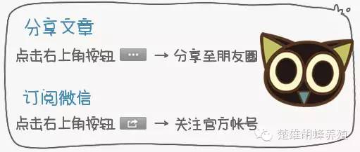 人工养马蜂技术视频_马蜂人工养殖技术_养殖人工马蜂技术视频