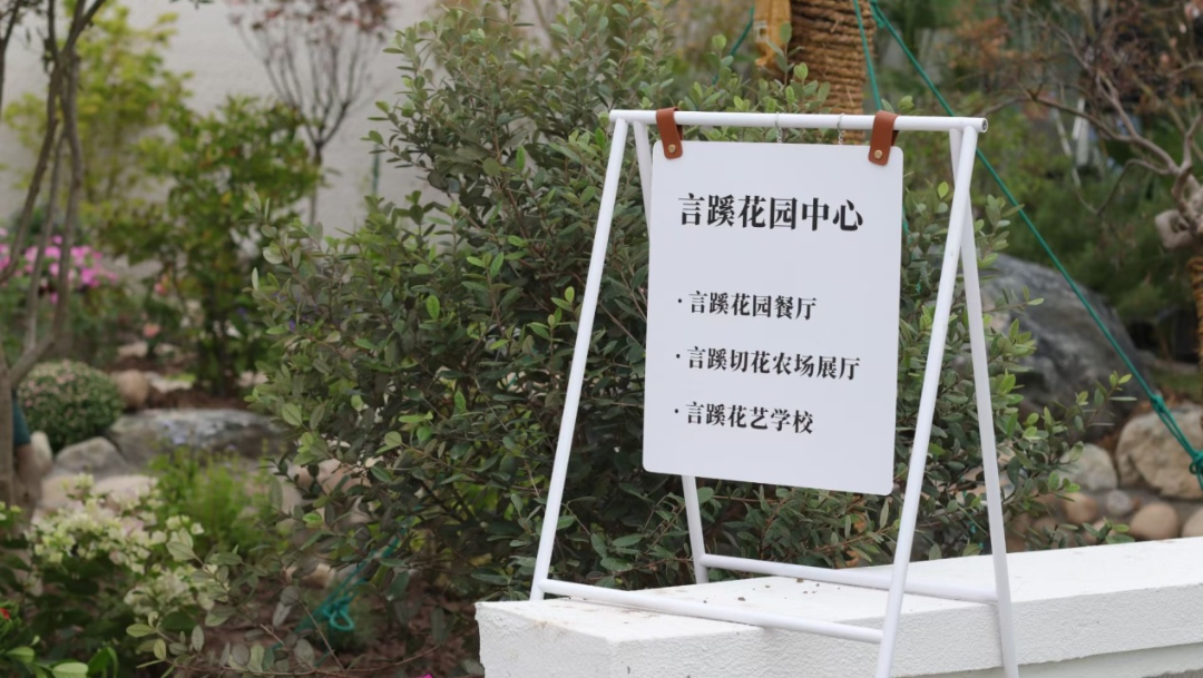 花卉致富苗种植方法_花卉种植收益_致富种植花卉苗