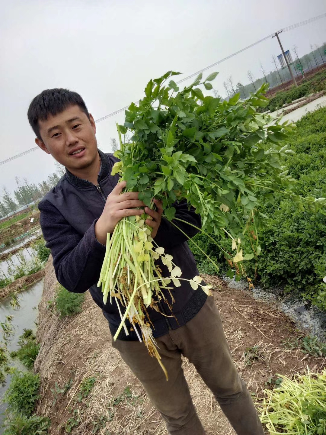 凤台养殖致富_凤台县养殖政策_凤台水产养殖