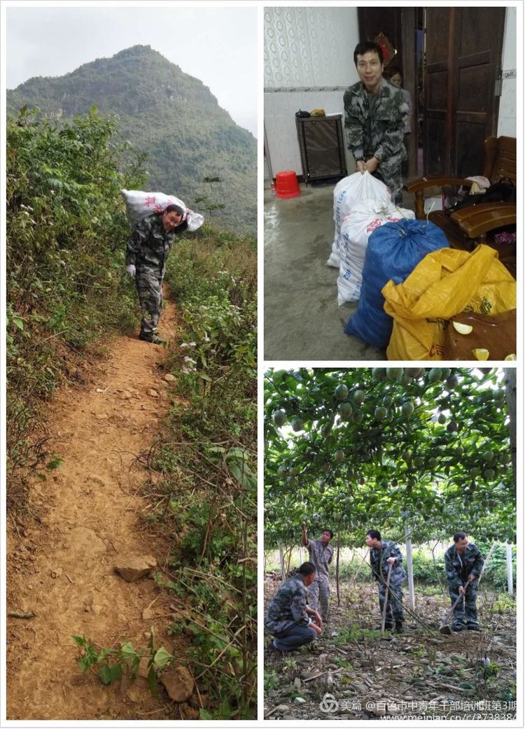 致富种植农村歌曲有哪些_致富种植农村歌曲大全_农村种植致富歌曲