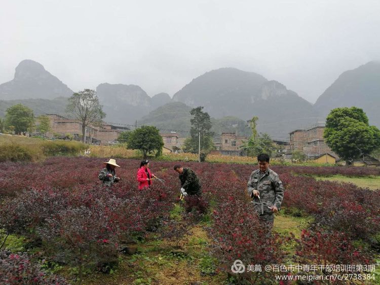 致富种植农村歌曲有哪些_农村种植致富歌曲_致富种植农村歌曲大全
