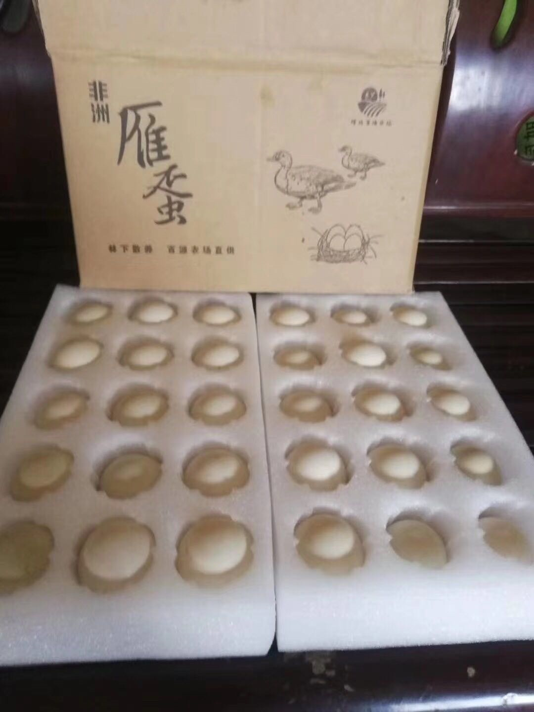 非洲雁养殖技术视频_关于非洲雁养殖技术_非洲雁养殖利润怎么样