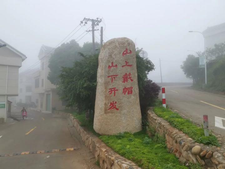 致富茶叶养殖场地址_茶叶养殖致富经_茶叶致富经