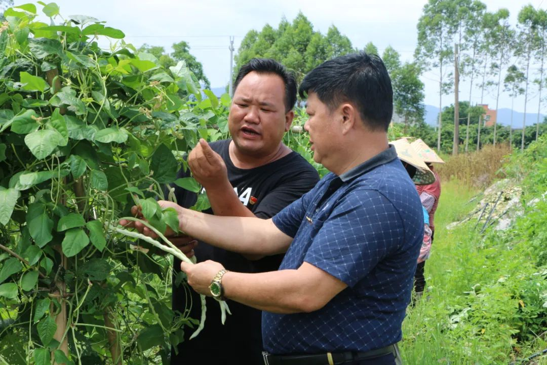 致富之路小投资_创业种植致富之路有哪些_致富之路有哪些
