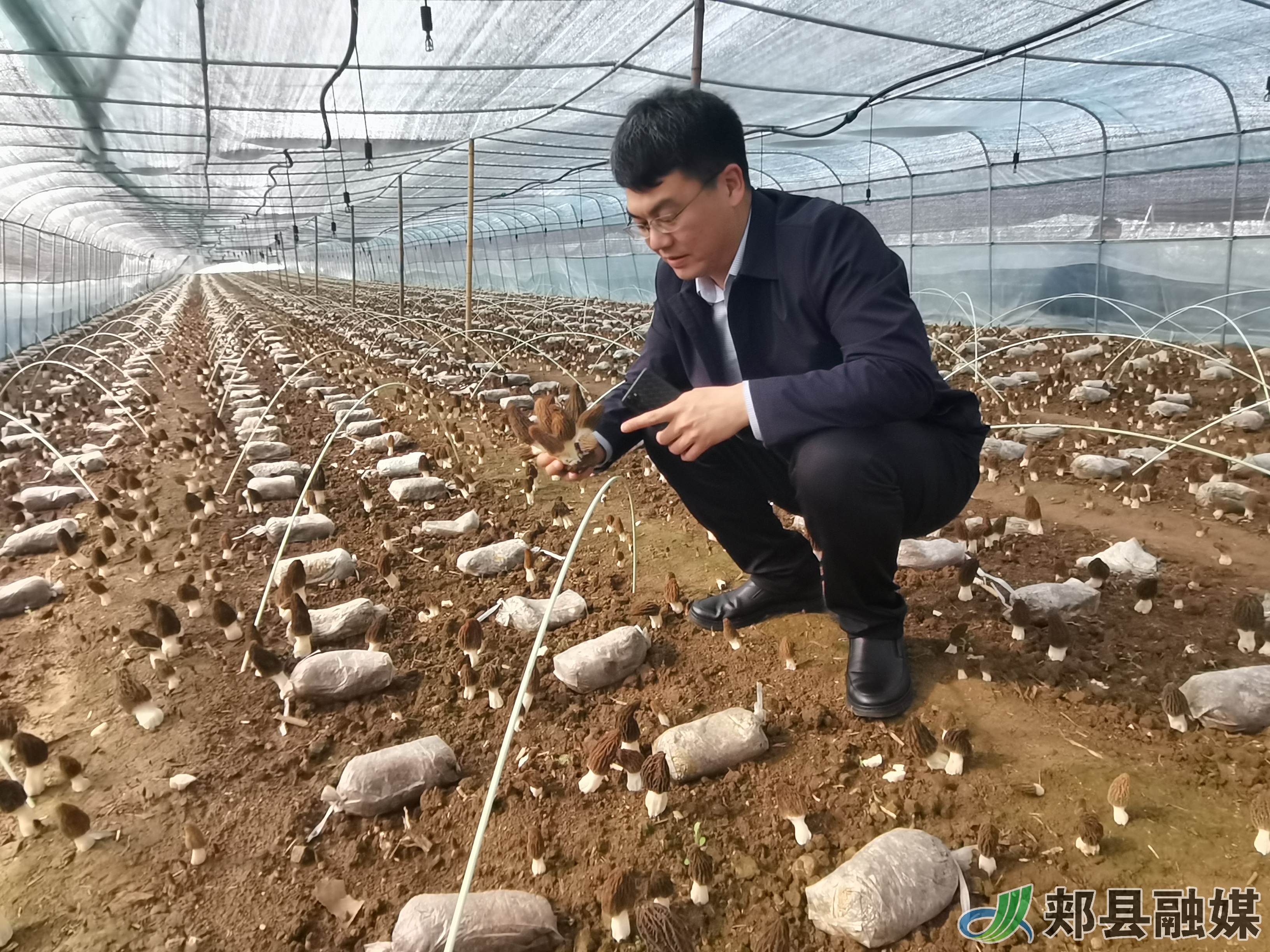 微信图片_20210315185346.jpg