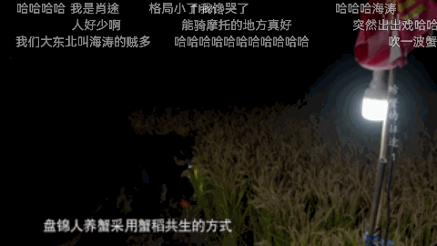 大闸蟹东北可以养殖吗_北方大闸蟹养殖_东北大闸蟹养殖技术视频