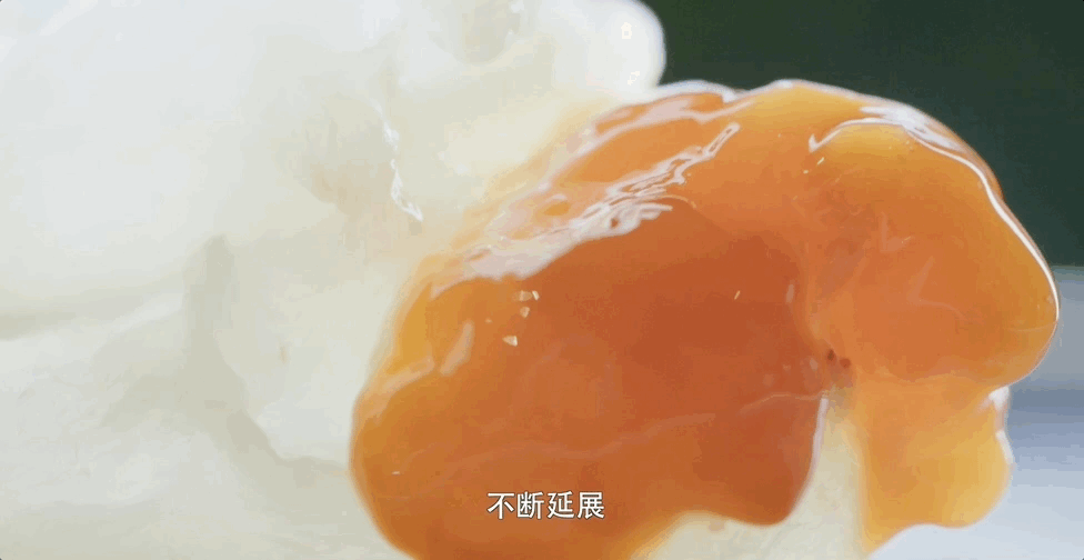 东北大闸蟹养殖技术视频_大闸蟹东北可以养殖吗_北方大闸蟹养殖