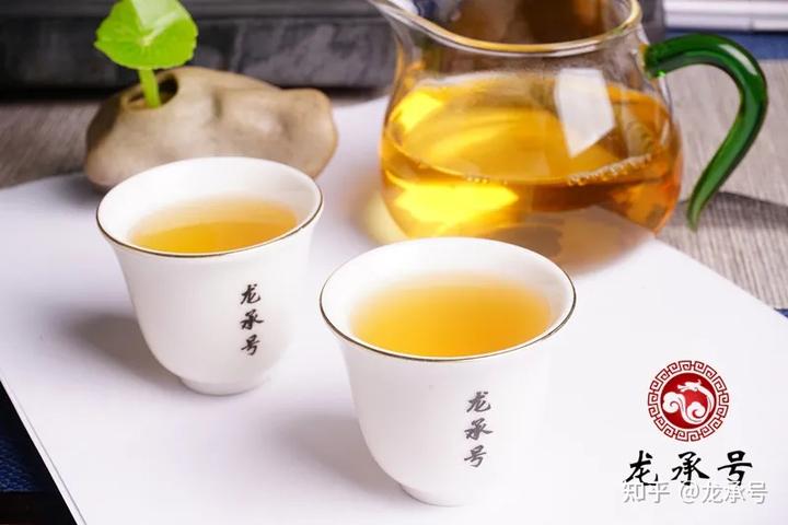 种茶致富_茶叶养殖致富经_茶叶养猪致富经