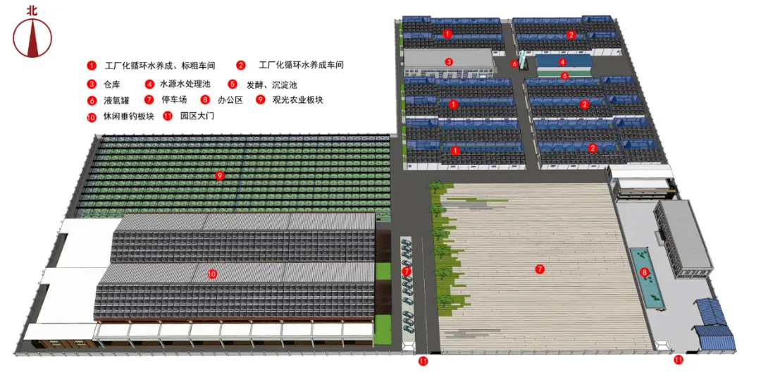 桂花鱼降养殖技术_桂花养殖降鱼技术视频_桂花养殖降鱼技术与管理