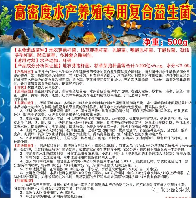 桂花养殖降鱼技术方法_桂花鱼降养殖技术_养桂花鱼的条件