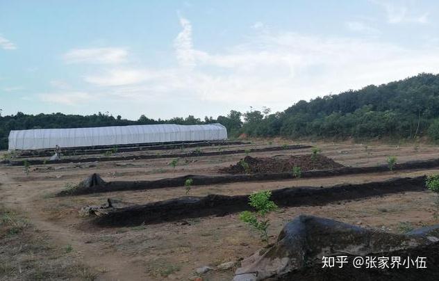 农村创业蚯蚓养殖，一个值得投资的项目