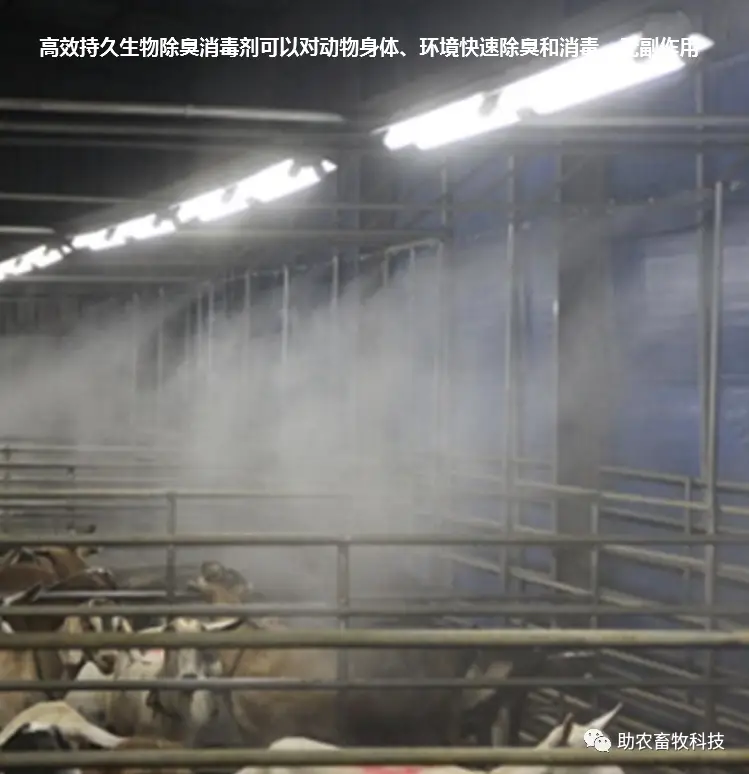 养殖场生物除臭_养殖业生物除臭技术_养殖厂除臭