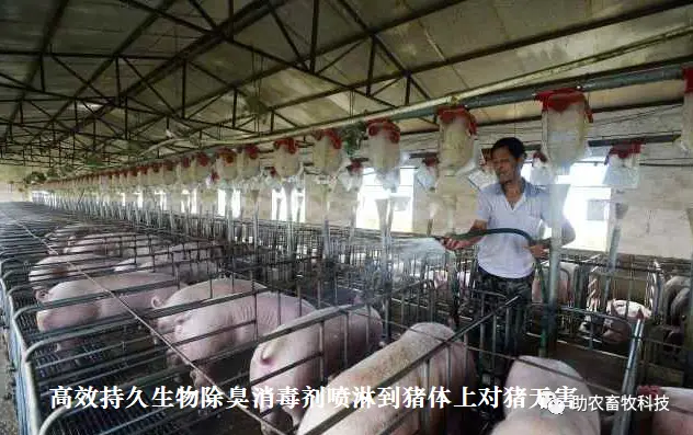 养殖厂除臭_养殖业生物除臭技术_养殖场生物除臭