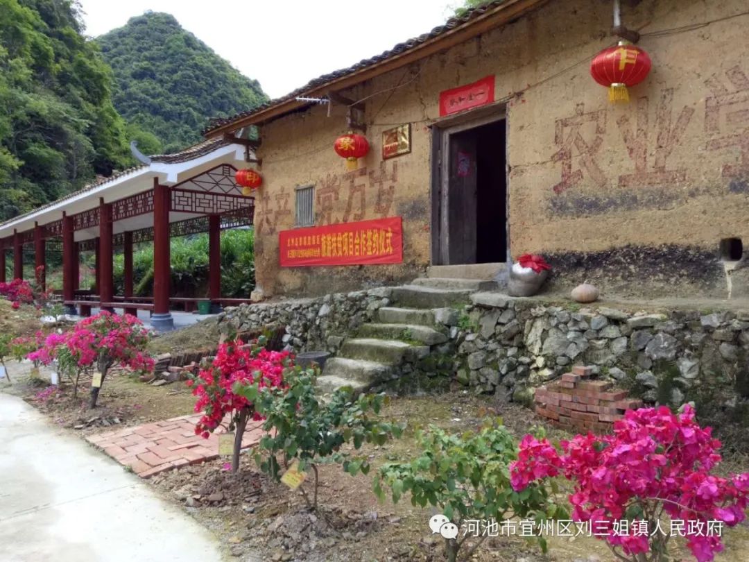 宜州农村致富种植_农村致富种植养殖技术_农村致富新项目种植
