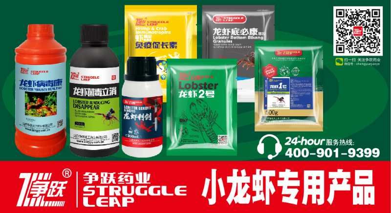 淡水虾养殖池_淡水虾北方养殖技术_淡水虾养殖技术教学视频