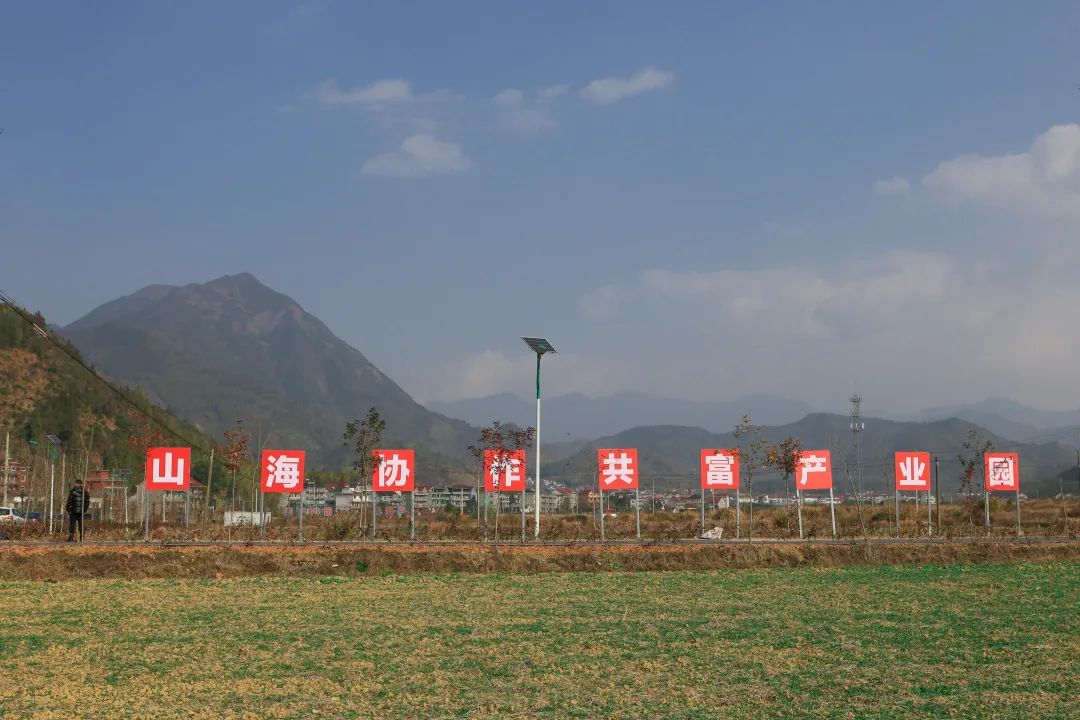 常山种植致富项目_海州常山种植方法_常山农庄