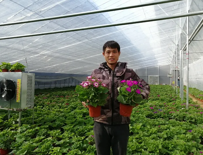 种植花卉致富_致富鲜花种植来自哪里_种植鲜花来致富