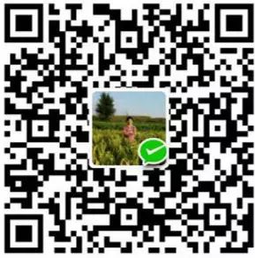 肉鸡养殖前景如何_养殖肉鸡的技术_肉鸡长期养殖致富经验