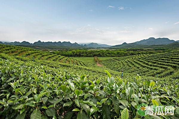广东农业种植补贴政策介绍
