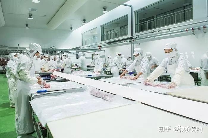 致富经创业项目农村养殖羊_寻求农村致富项目养羊_致富经单县养羊
