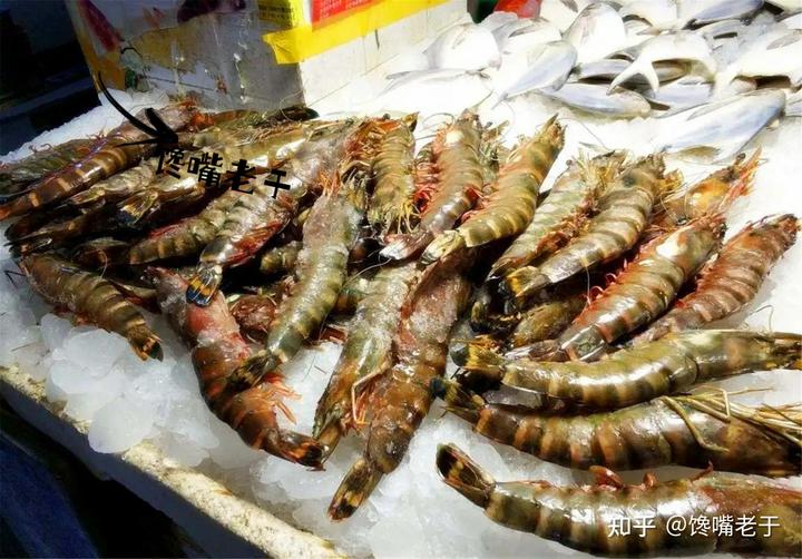 致富经 虾_炒虾尾的虾是什么虾_致富虾真的