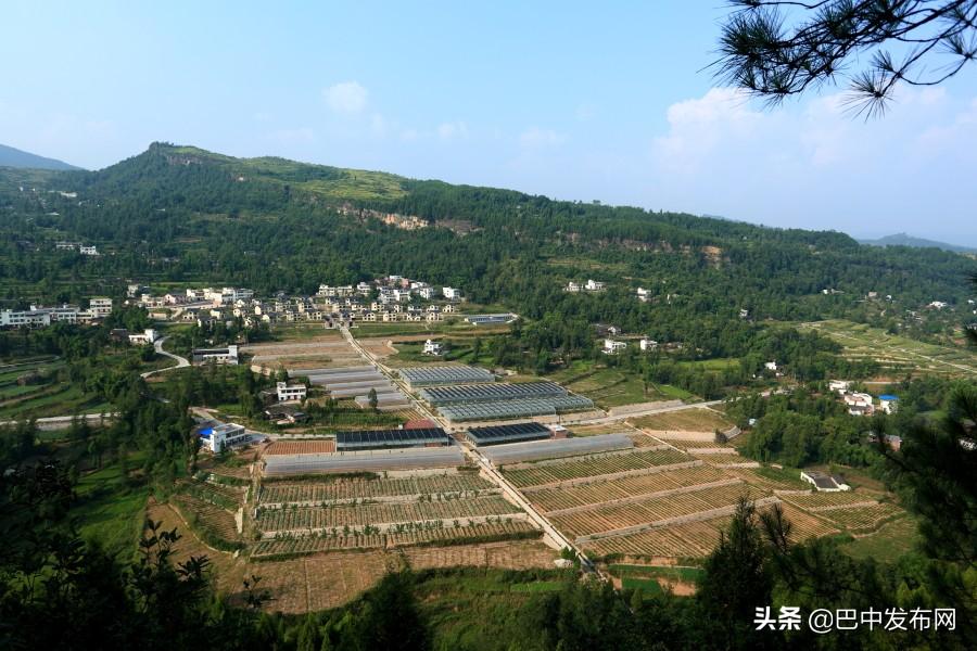 养南江黄羊效益可以吗_致富经养殖南江黄羊_南江黄羊养殖基地视频