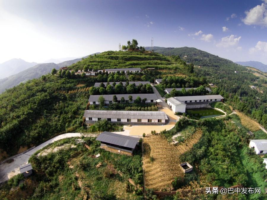 致富经养殖南江黄羊_养南江黄羊效益可以吗_南江黄羊养殖基地视频