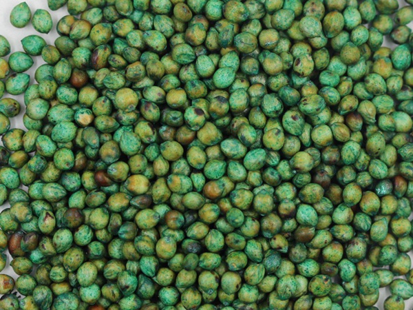 甜高梁种植致富_种植甜高粱上当受骗_种植高粱效益怎么样