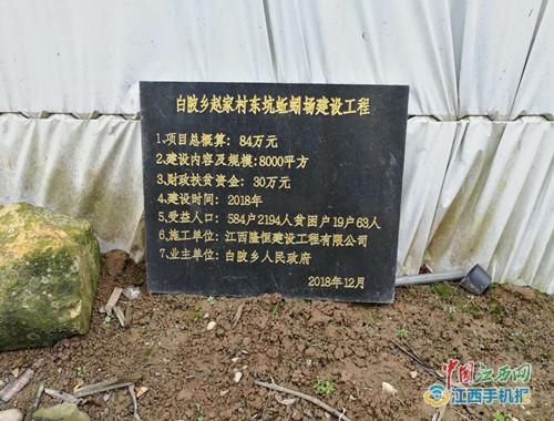 致富养殖蚯蚓视频_致富经蚯蚓养殖_养蚯蚓致富经